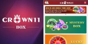 Crown 11 Box India’s No.1 Money Making Game – Mystery Box 1
